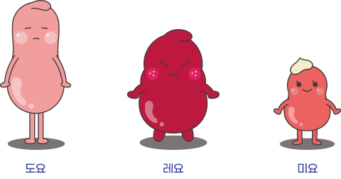 명란삼남매 : 도요, 레요, 미요