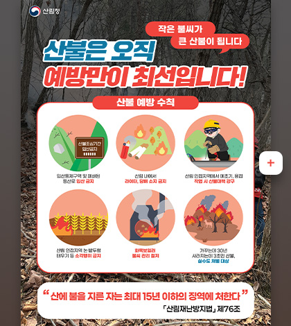 산림청
작은 불씨가 큰 산불이 됩니다

산불은 오직
예방만이 최선입니다!

산불 예방 수칙

입산통제구역 및 폐쇄된 등산로 입산 금지

산림 내에서 라이터, 담배 소지 금지

산림 인접지역에서 예초기, 용접 작업 시 산불대책 강구

산림 인접지역 논·밭두렁 태우기 등 소각행위 금지

화목보일러 불씨 관리 철저

가꾸는데 30년
사라지는데 3초인 산불, 실수도 처벌 대상

산에 불을 지른 자는 최대 15년 이하의 징역에 처한다
「산림재난방지법」제76조