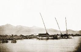 画報で見る東区의 파일 이미지