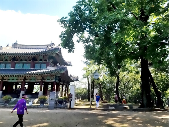 부산진성공원 사진