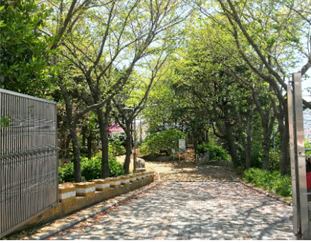 수정1배수지 사진