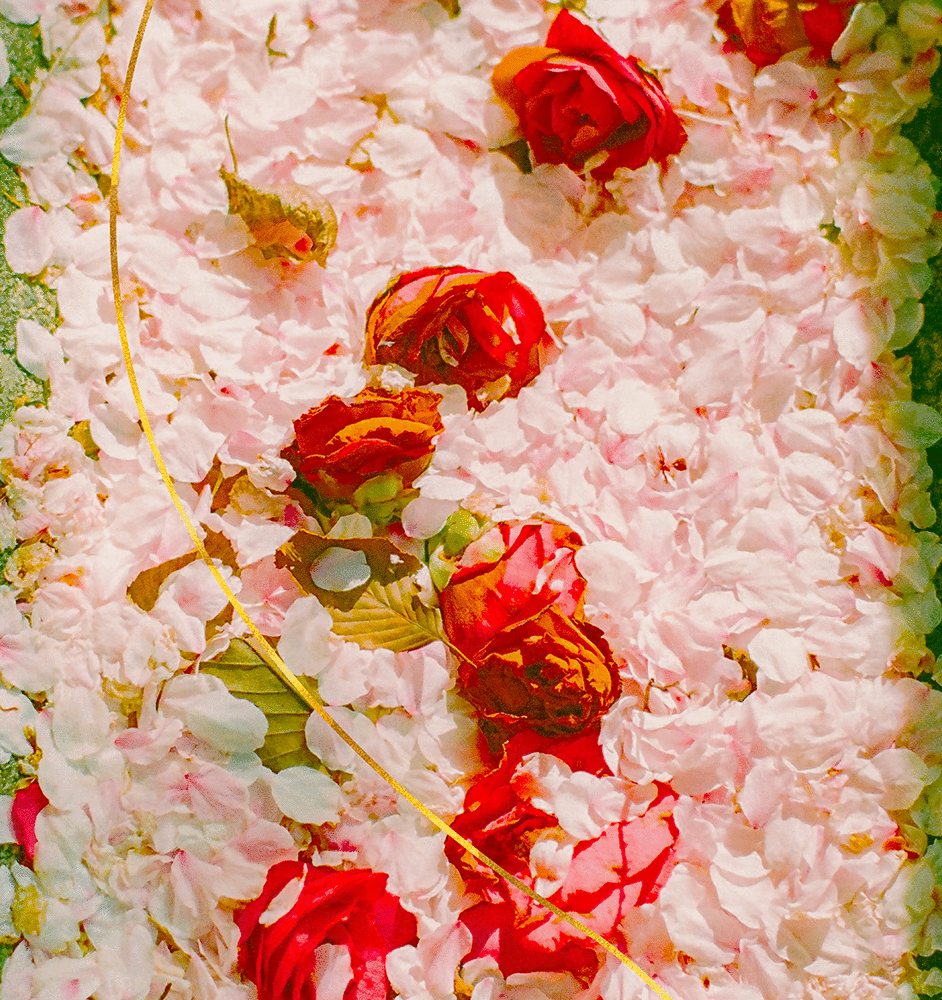 「블루밍(blooming)」의 이미지